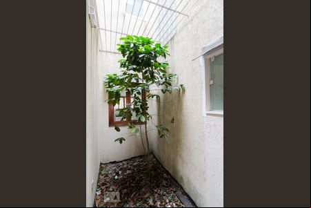 Jardim de inverno de casa para alugar com 2 quartos, 150m² em Santa Terezinha, São Bernardo do Campo